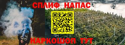 хмурый Новозыбков