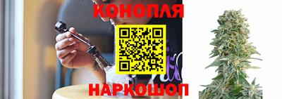 хмурый Новозыбков